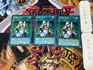 Nobleman of Crossout 4 Dueling Terminals, set of 3, Tera.