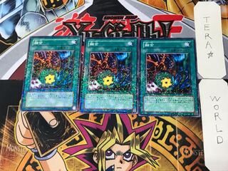 融合 1 デュエルターミナル 3枚セット てら