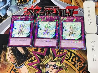 Blessings for Gusto 2 Dueling Terminals, set of 3, Tera.