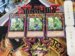 Kamui, Hope of Gusto 4 Dueling Terminals, set of 3, Tera.