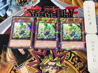 Kamui, Hope of Gusto 5 Dueling Terminals, set of 3, Tera.