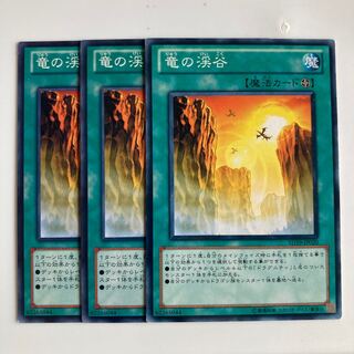 竜の渓谷　$2755