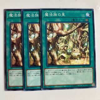 魔法族の里　$2765