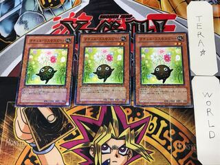 Naturia Cosmobeet 2 Duel Terminal, Set of 3, Tera