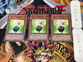 Naturia Cosmobeet 3 Duel Terminals, set of 3, Tera.