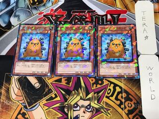 Quillbolt Hedgehog 5 Duel Terminal, set of 3, Tera.