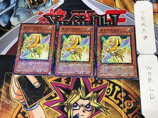 Golden Ladybug 5 Dueling Terminals, set of 3, Tera.