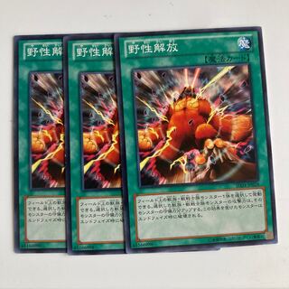 8289 Wild Nature's Release Rare JP033 $2799