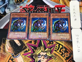 Panther Warrior 1 Duel Terminal, set of 3, Tera.