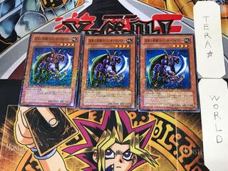 Panther Warrior 2 Dueling Terminals, set of 3, Tera.