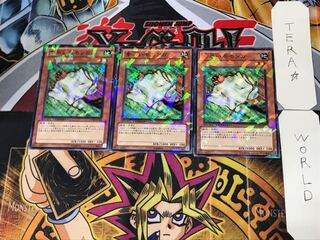 Nimble Momonga 2 Duel Terminal, set of 3, Tera.