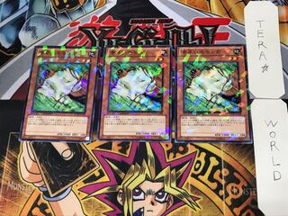 Nimble Momonga 4 Duel Terminal, set of 3, Tera.