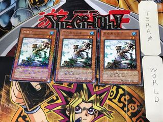 Cryomancer of the Ice Barrier 4 Dueling Terminals, set of 3, Tera.