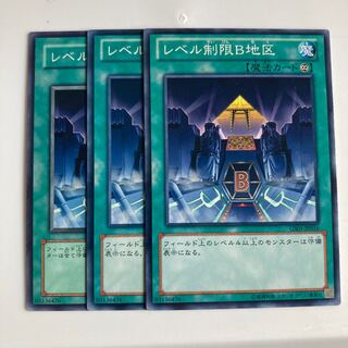 8295 Level Limit - Area B $2810