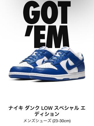 NIKE Dunk Kentucky 27.5cm