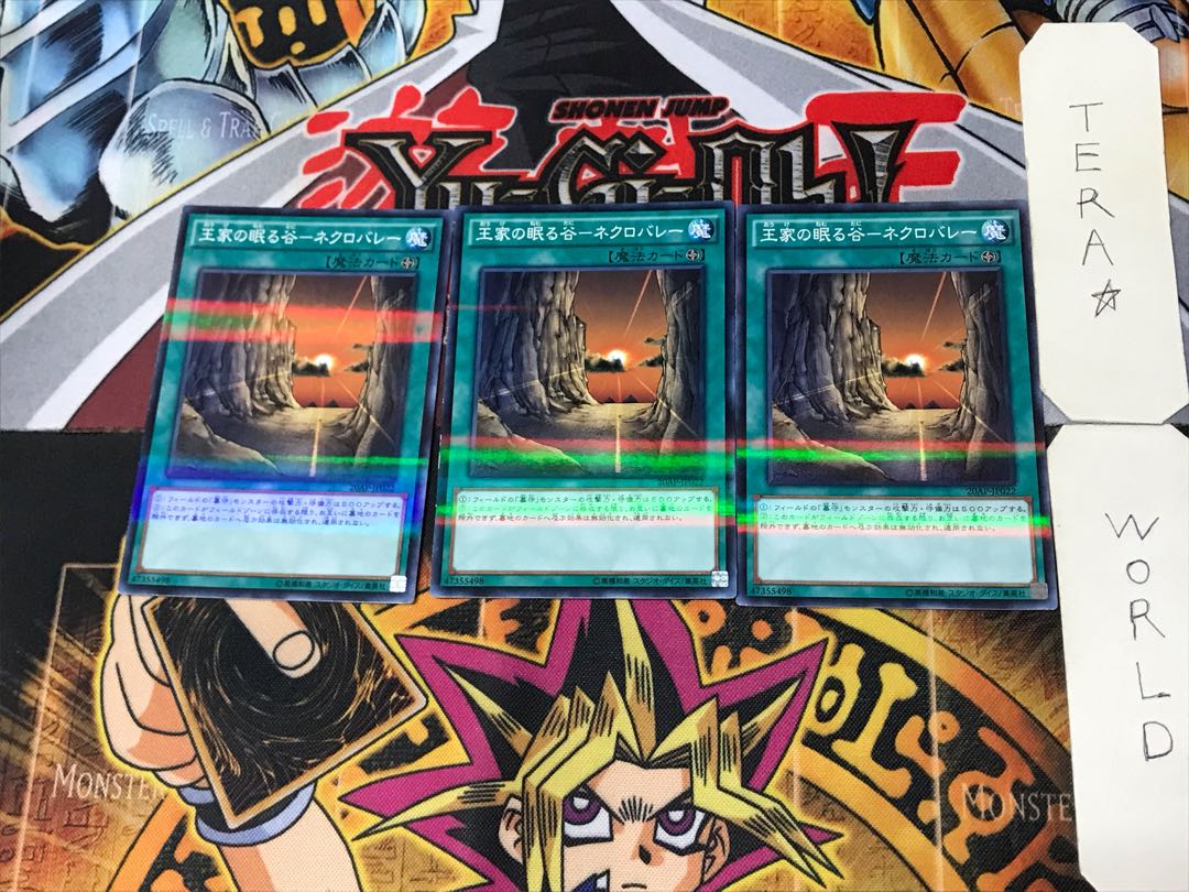 Valley of Sleep of Kings - Necro Valley 1 Normal Parallel Set of 3 Tera.