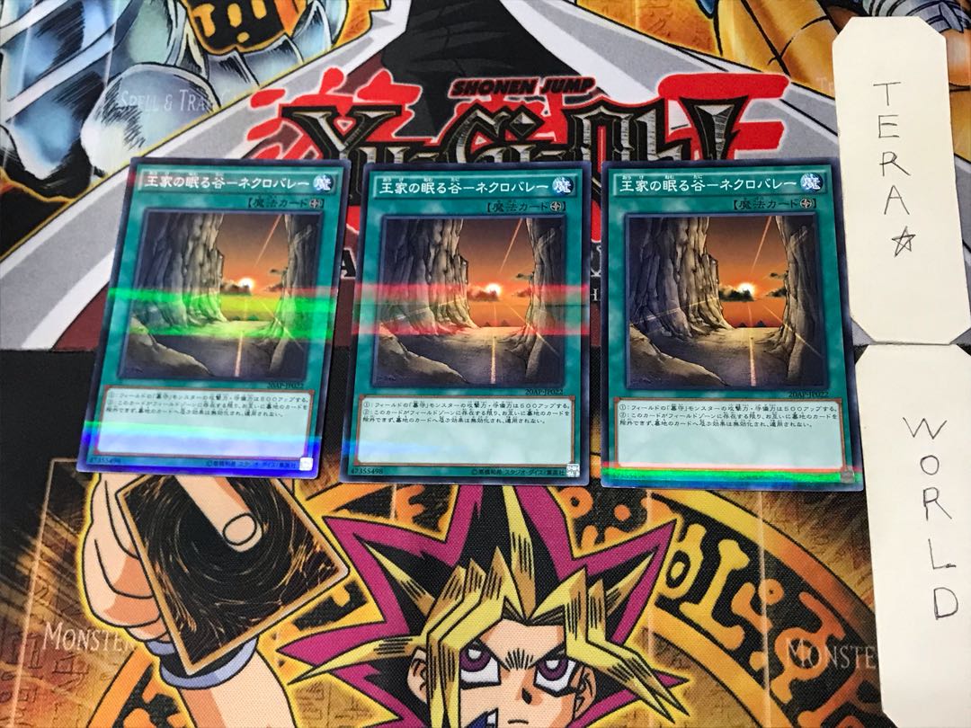 Valley of Sleep of Kings - Necro Valley 5 Normal Parallel Set of 3 Tera