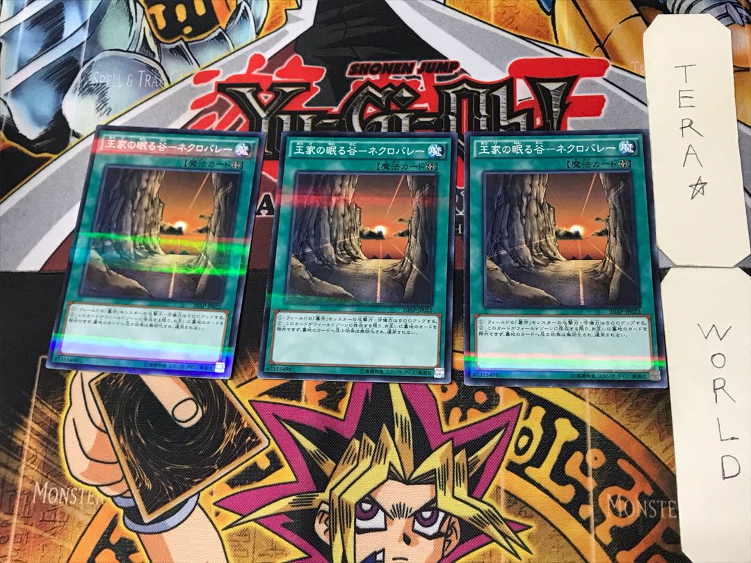 Valley of Sleep of Kings - Necro Valley 6 Normal Parallel Set of 3 Tera