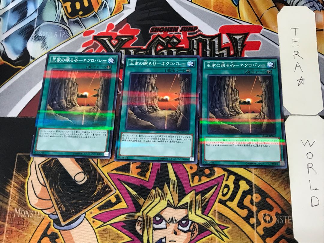 Valley of Sleep of Kings - Necro Valley 8 Normal Parallel Set of 3 Tera.