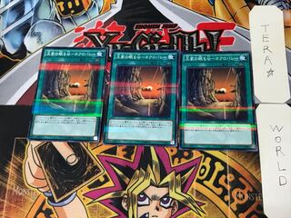 王家の眠る谷-ネクロバレー 8 ノーマルパラレル 3枚セット てら