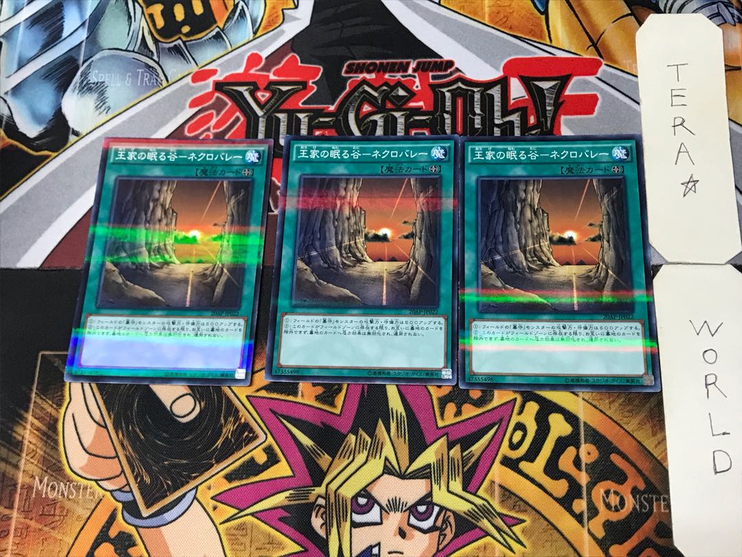 Valley of Sleep of Kings - Necro Valley 9 Normal Parallel Set of 3 Tera.