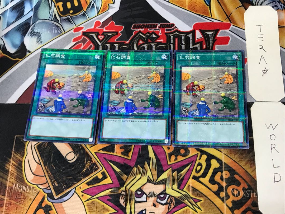 Fossil Dig 2 Normal Parallel Set of 3 Tera