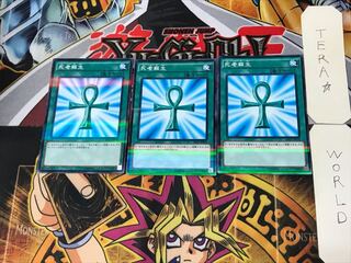 死者蘇生 5 ノーマルパラレル 3枚セット てら