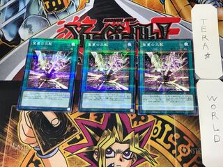 聖蔓の交配 1 ノーマルパラレル 3枚セット てら