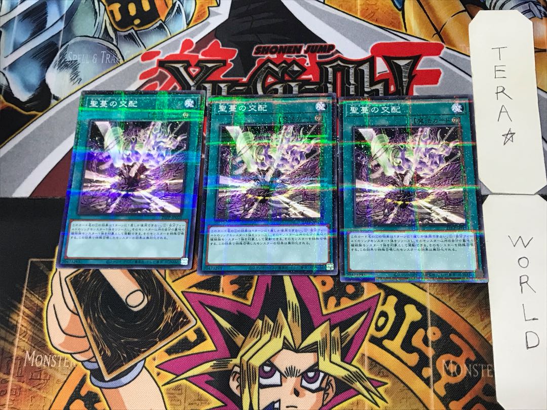 Sunvine Cross Breed 3 Normal Parallel Set of 3 Tera