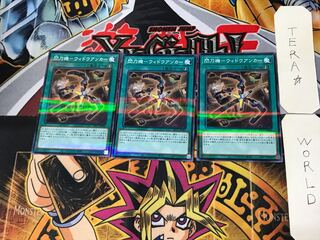 Senkouki - Widow Anchor 4 Normal Parallel 3-card set Tera