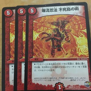 爆流忍法 不死鳥の術