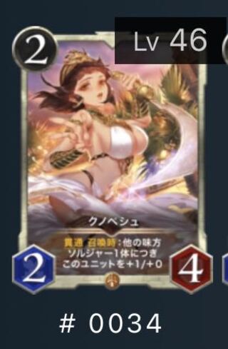 クノペシュ 1枚 スピあり