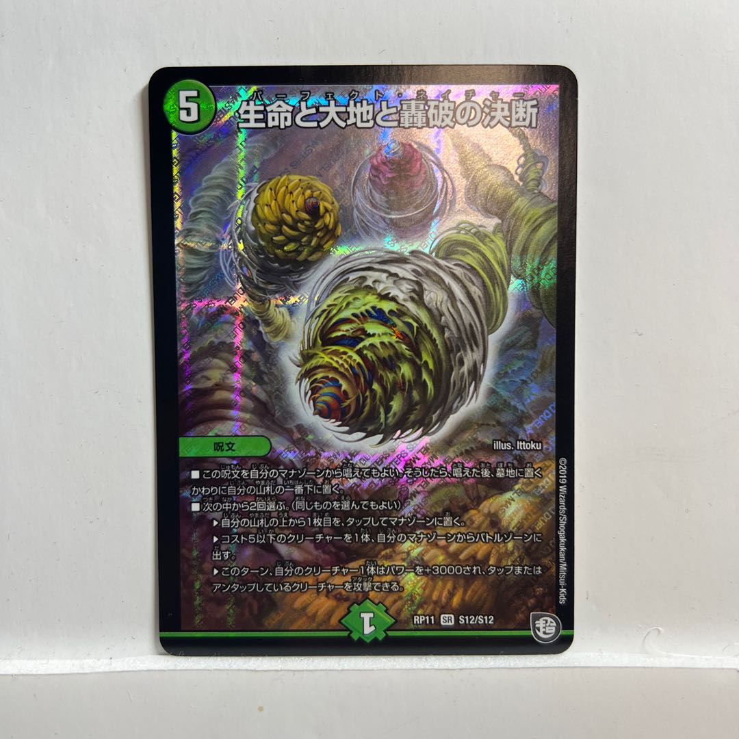 Life Life, Earth and Roaring Decision SR S12/S12