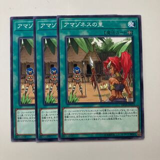 8321 アマゾネスの里 ノーマル JP014