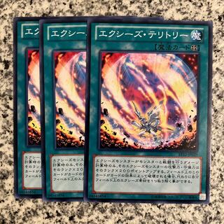 Xyz Territory Normal JP029