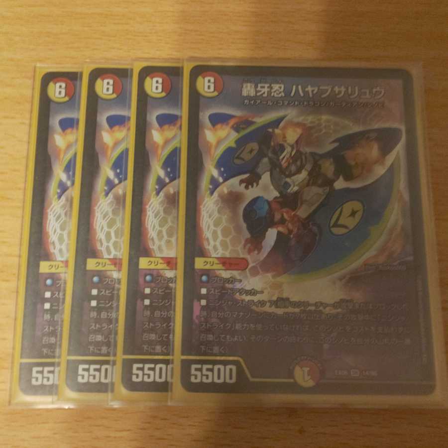 ハヤブサリュウ