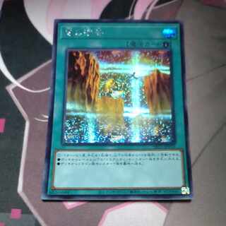 竜の渓谷　シークレットレア