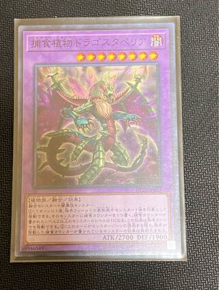 Predaplant Dragostapelia Normal JP053