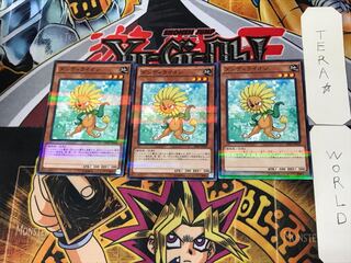 Dandylion 4 Normal Parallel 3-card set Tera