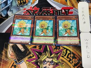 Dandylion 5 Normal Parallel 3-card set Tera