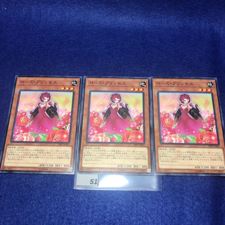 ローズ・プリンセス N 20PP-JP007 3枚セット
