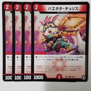 Haetata Chu Squirrel C 78/95