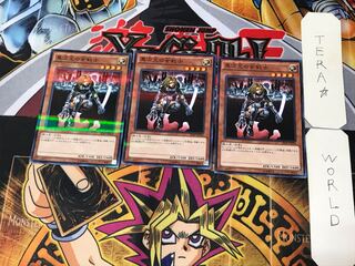 D.D. Warrior Lady 2 Normal Parallel Set of 3 Tera