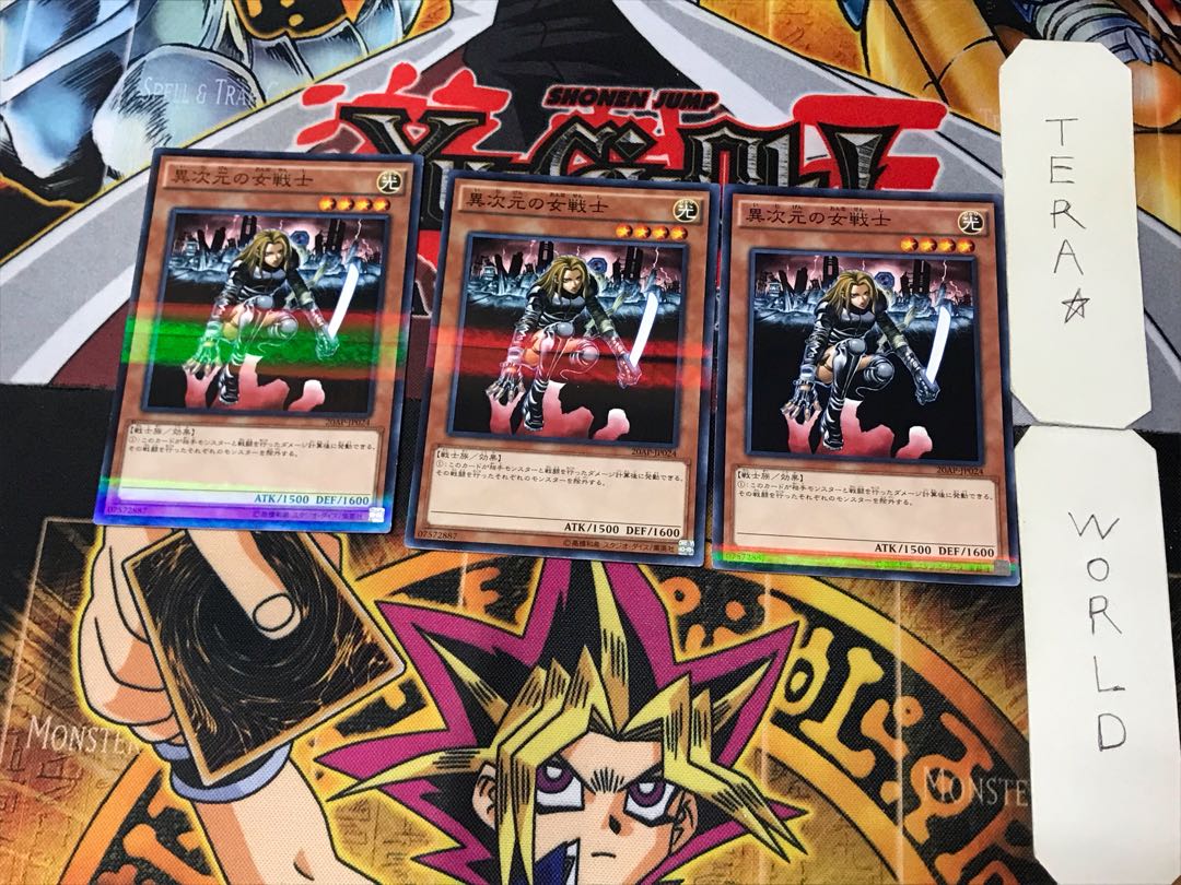 D.D. Warrior Lady 3 Normal Parallel Set of 3 Tera