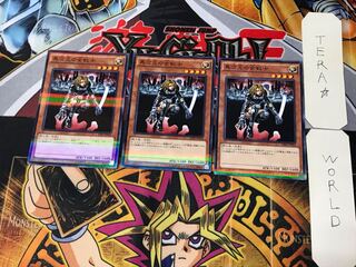 D.D. Warrior Lady 4 Normal Parallel Set of 3 Tera