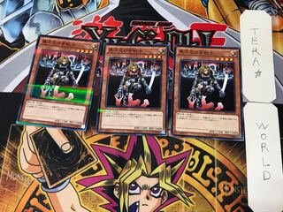 D.D. Warrior Lady 5 Normal Parallel Set of 3 Tera