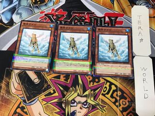 Treeborn Frog 1 Normal Parallel Set of 3 Tera.