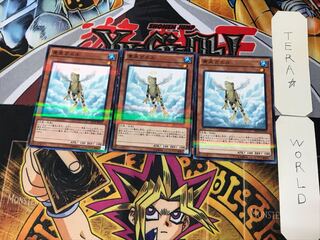 Treeborn Frog 2 Normal Parallel Set of 3 Tera