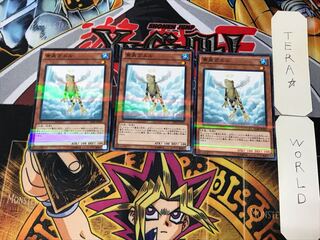 Treeborn Frog 4 Normal Parallel Set of 3 Tera