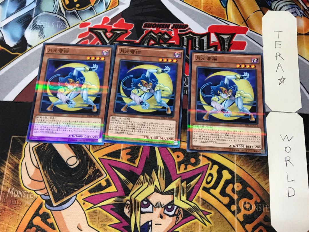 Lunalight Blue Cat 5 Normal Parallel Set of 3 Tera